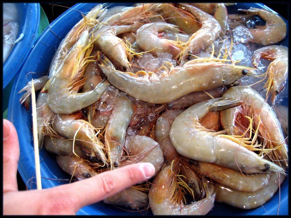dead shrimp