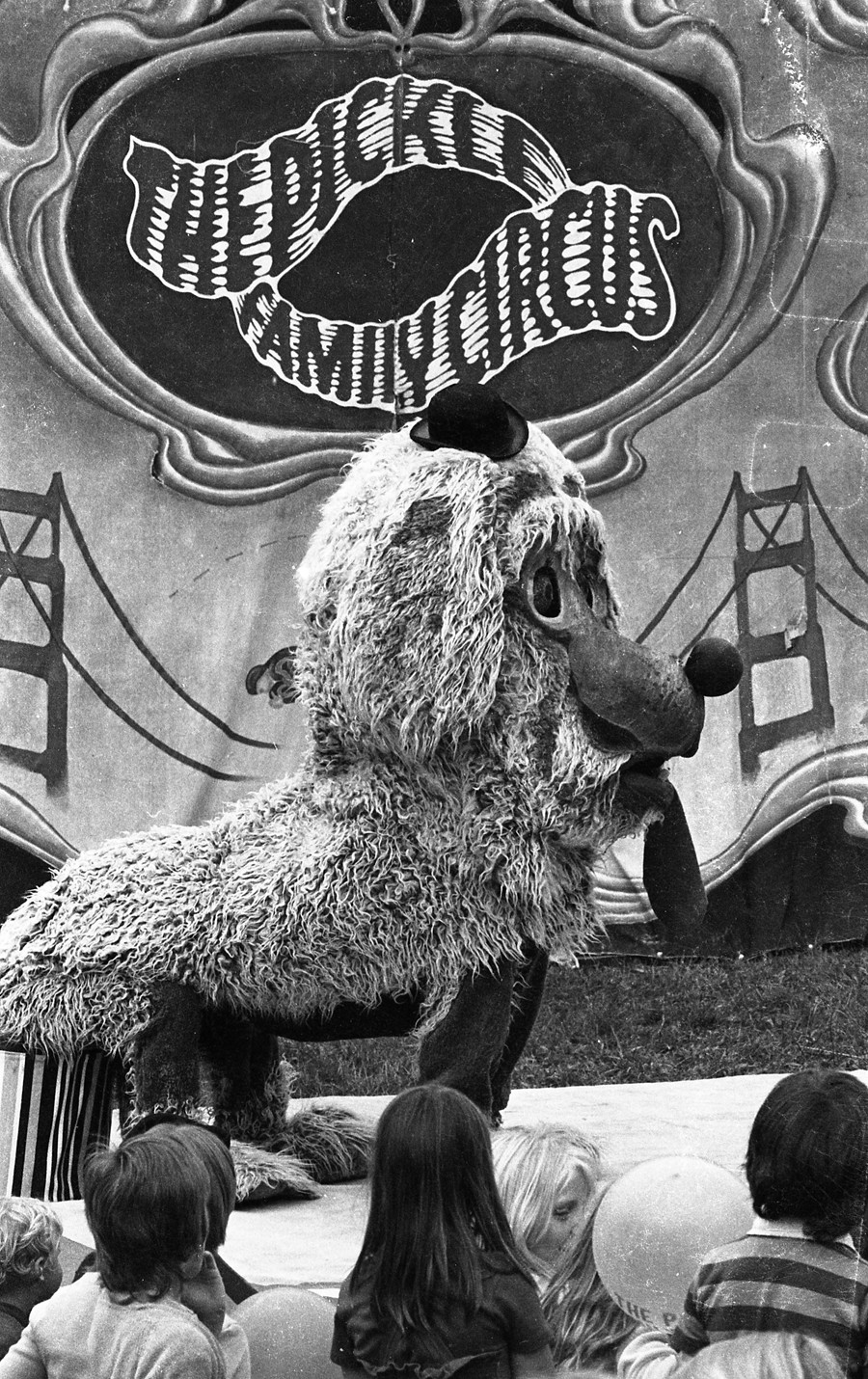 Pickle Family Circus, 1970s