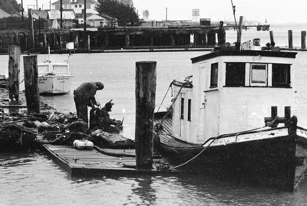 Bandon dock, 1973