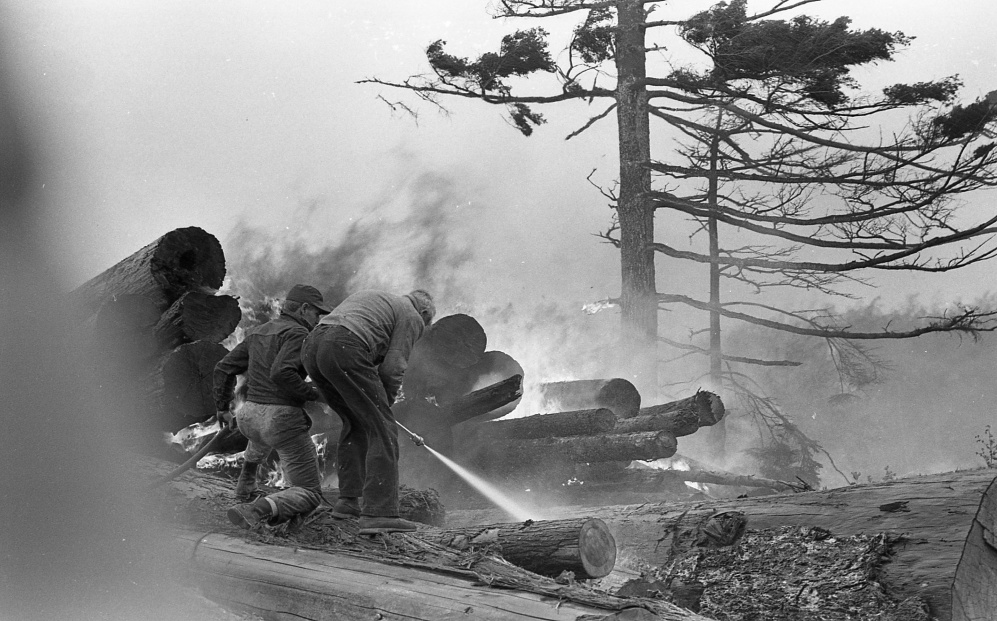 Fire at Rogge Lumber Co, 1965
