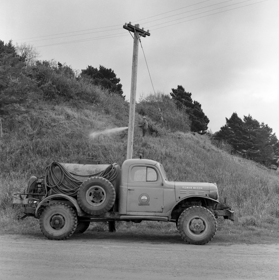 Spraying for gorse, 1958