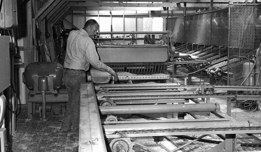 Perry Brothers Mill, 1969