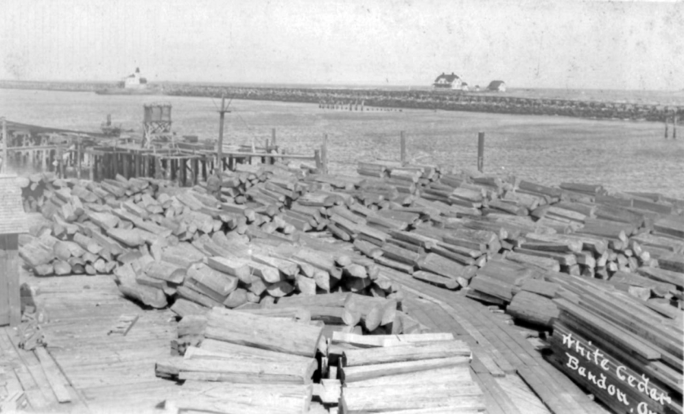 White cedar logs, 1920s