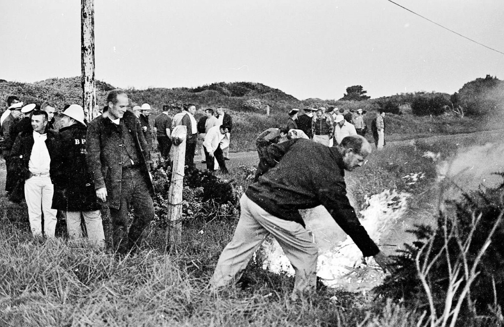 Bandon Fire Department studying gorse, 1965