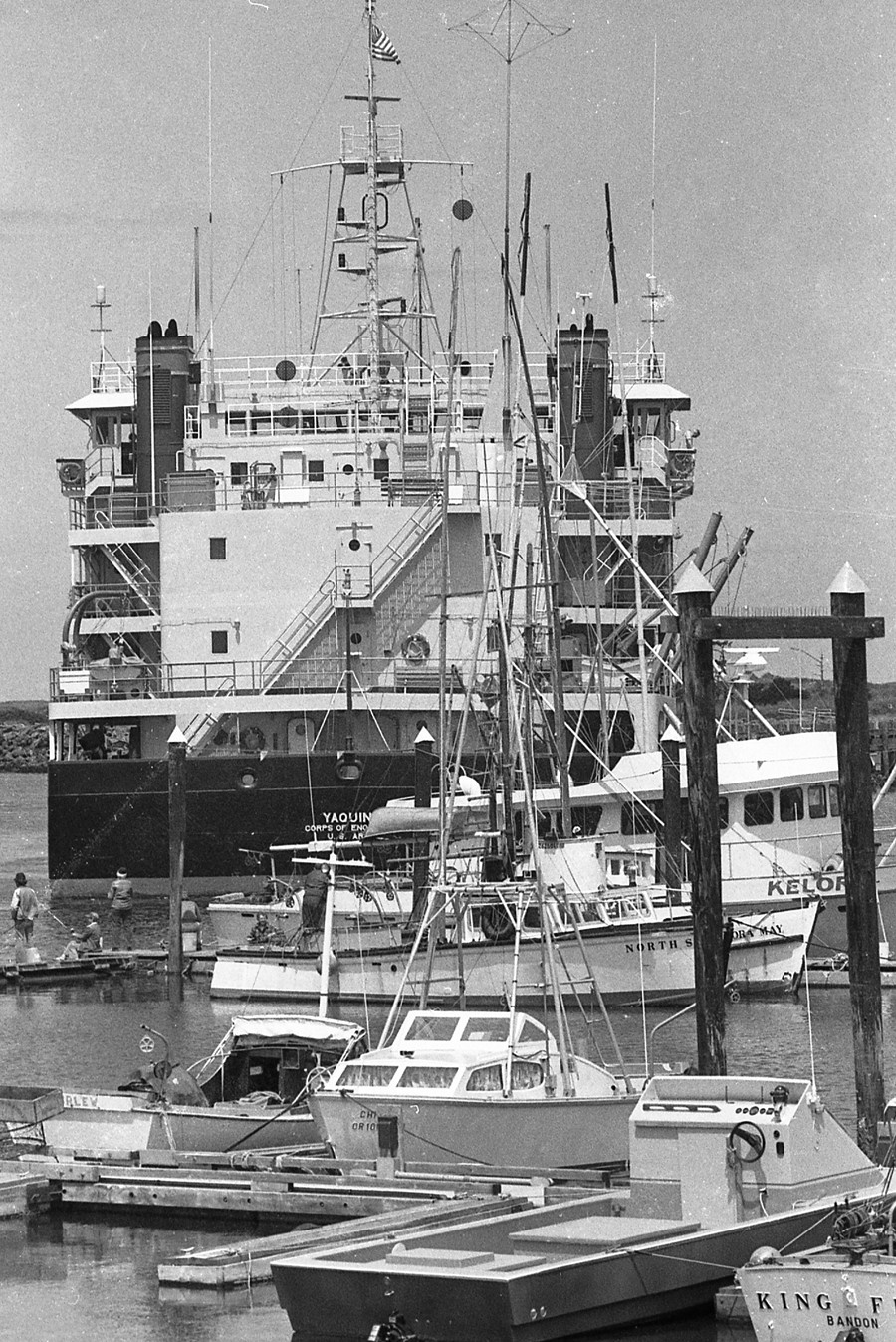 Yaquina dredge, 1981