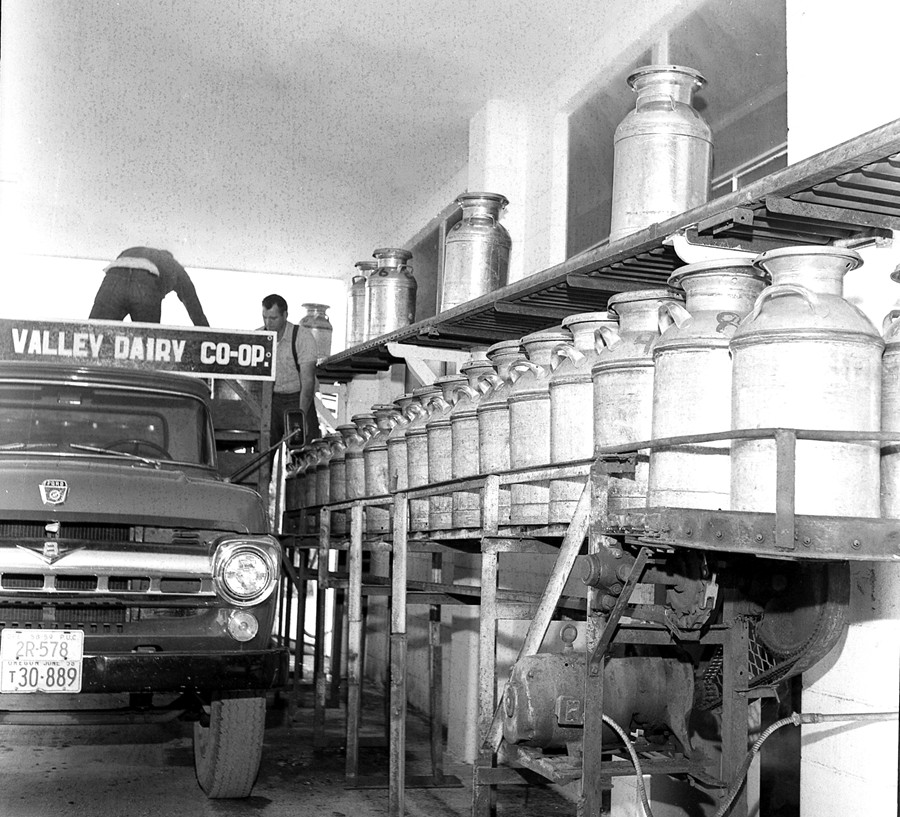 Coquille Valley Dairy Co-op, 1958