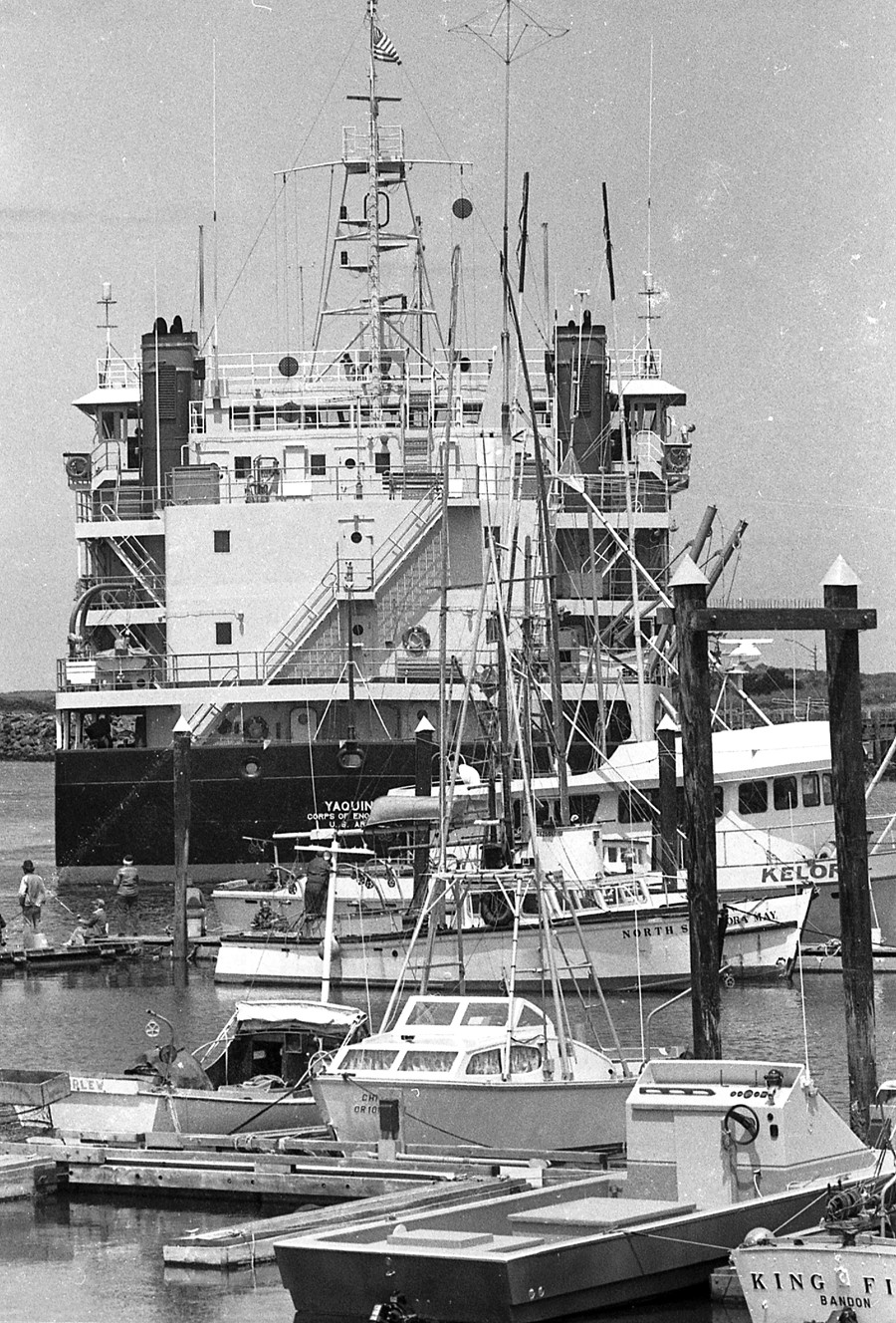 Yaquina dredge, 1981